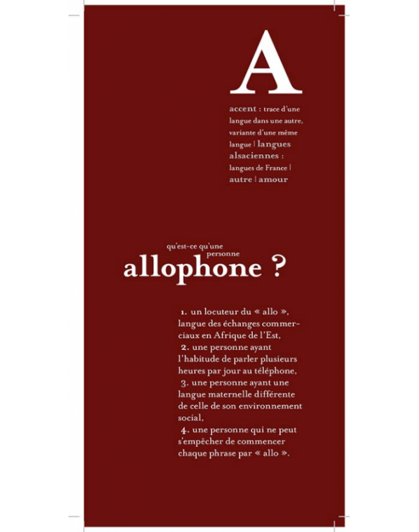 Le plurilinguisme en questions – Image 3