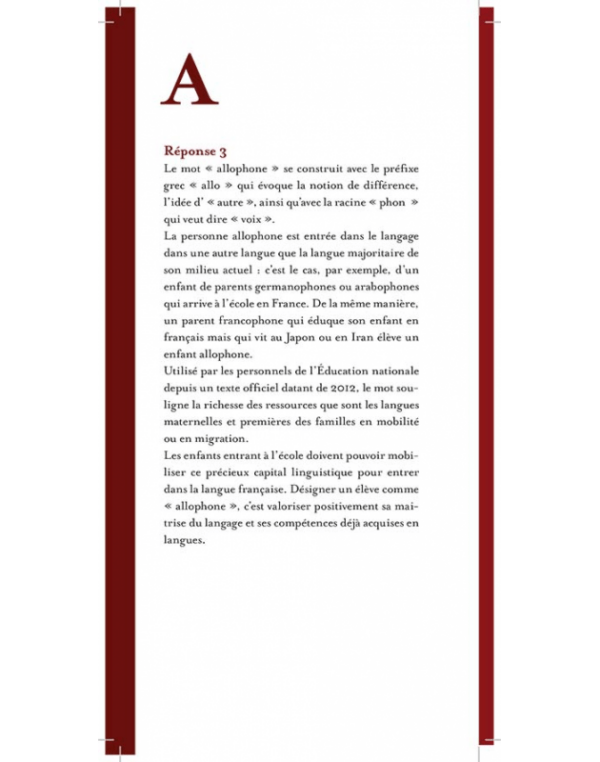 Le plurilinguisme en questions – Image 4