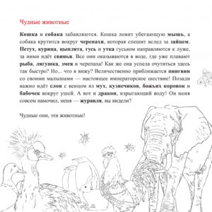Animaux zigotos