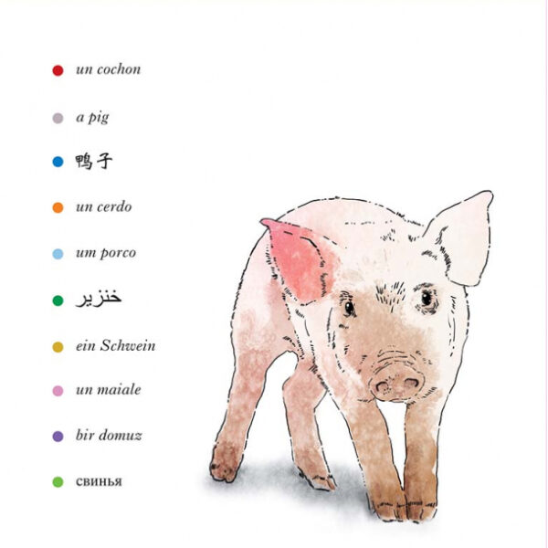 Animaux zigotos - extrait2