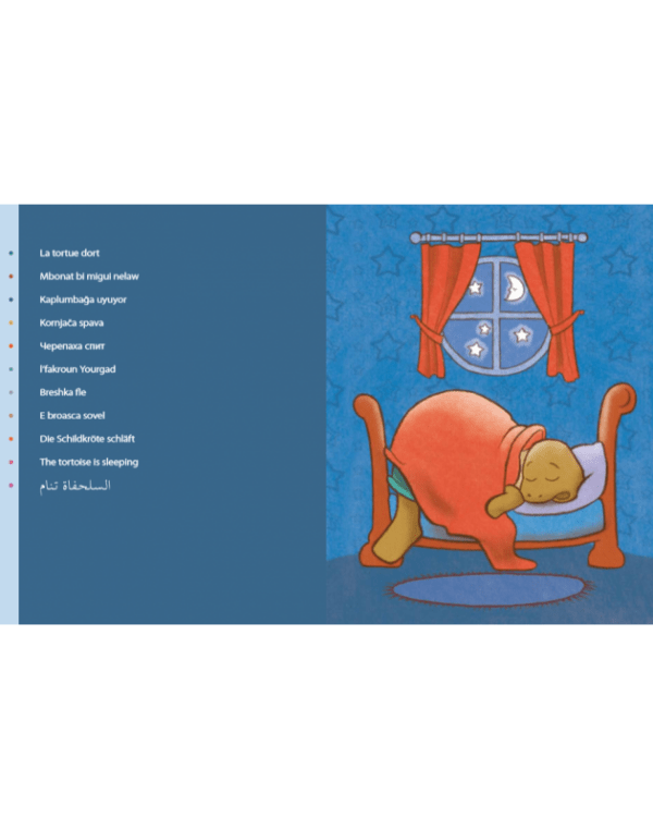 Bonjour tortue - extrait1