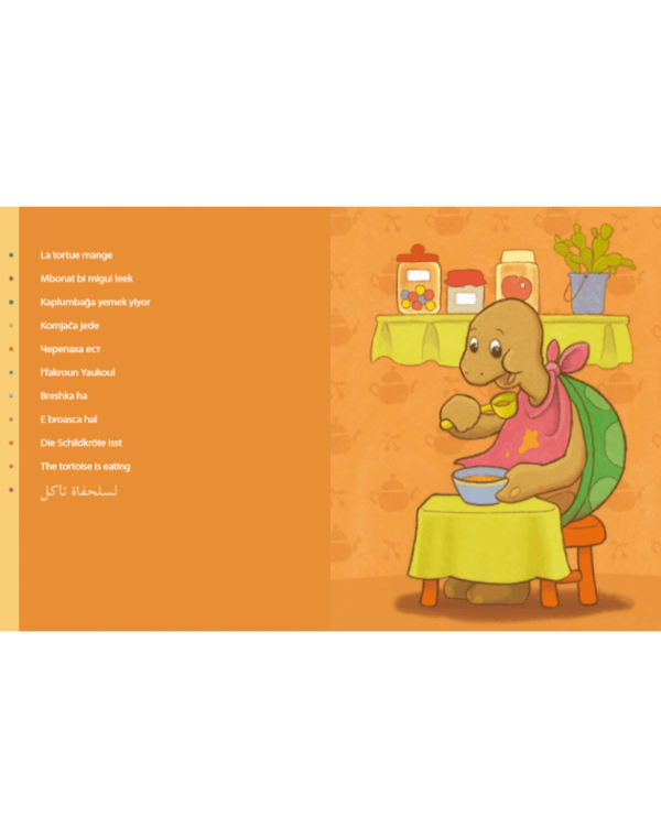 Bonjour tortue - extrait3