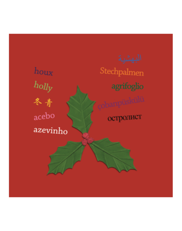 Joyeux Noel - extrait4