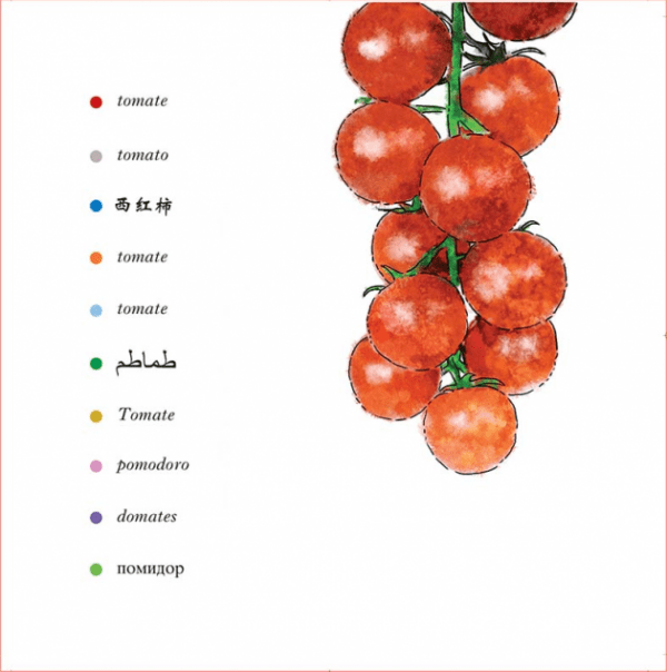 Les fruits quelle salade - extrait2