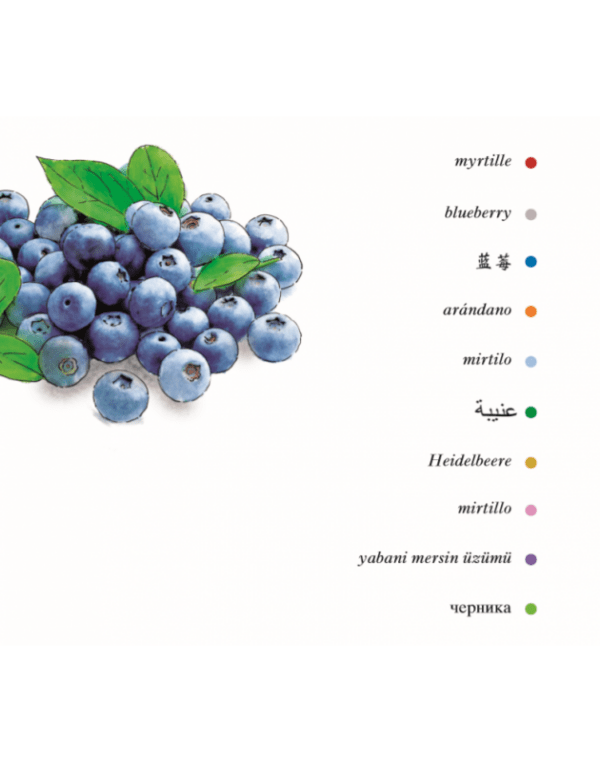 Les fruits quelle salade - extrait4