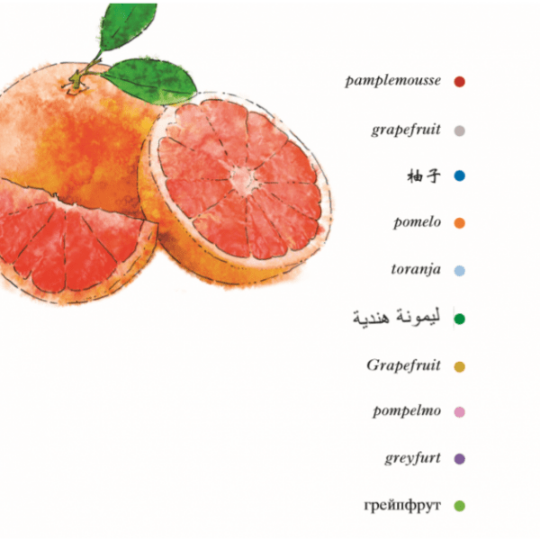Les fruits quelle salade - extrait5
