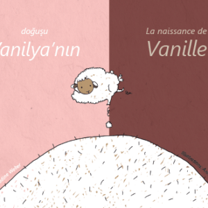 Vanilya’nın doğuşu – La naissance de Vanille