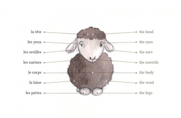 Vanilla's Birth - La naissance de Vanille – Image 9
