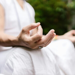 Régulation du stress adulte