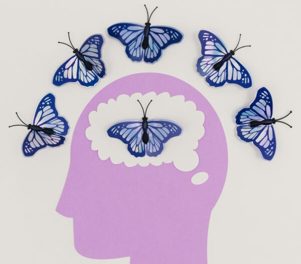 Comprendre le développement du cerveau de l'ado