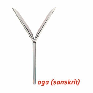 Comment transmettre le goût des livres